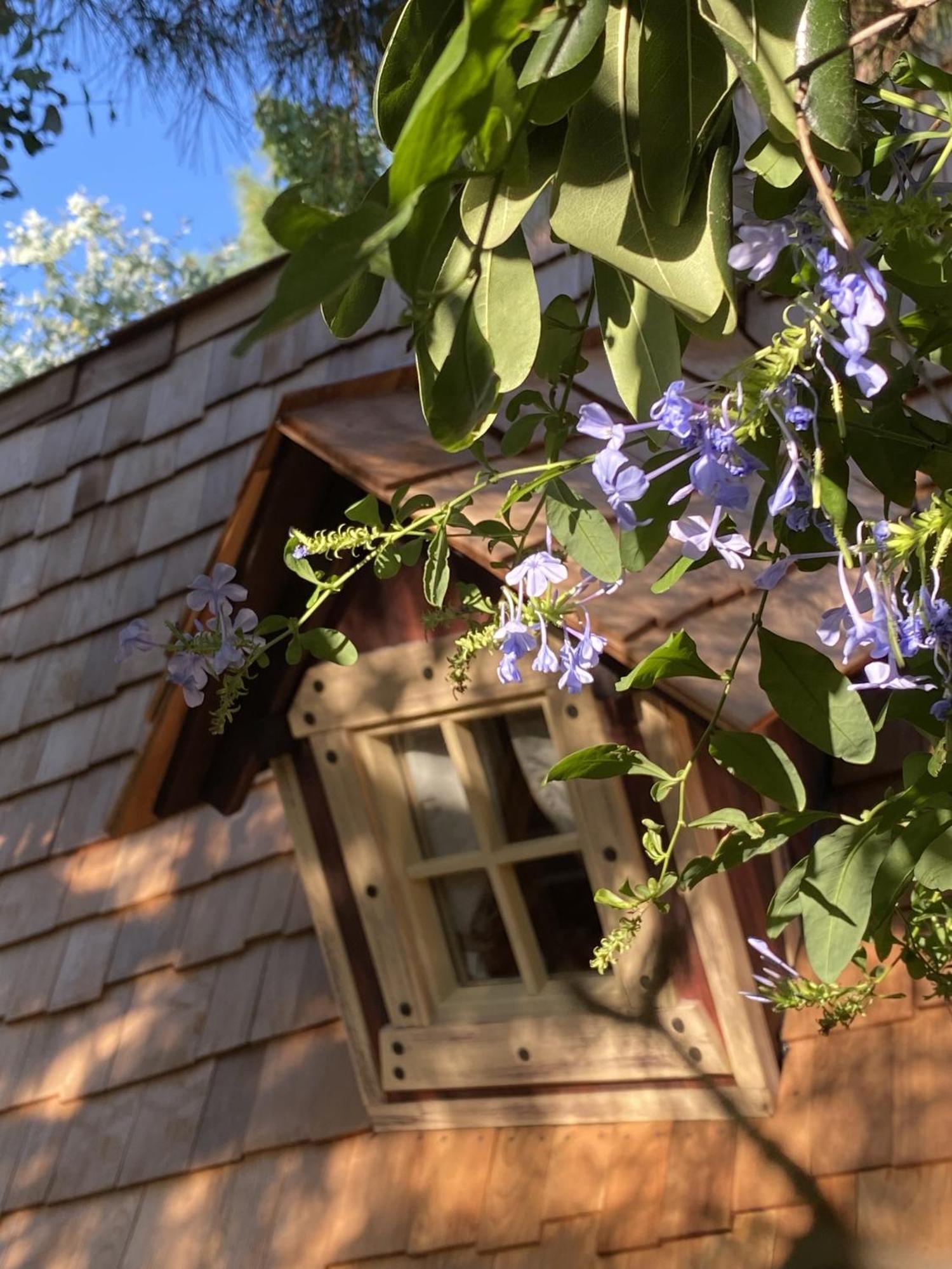 Mas Del Flor Acomodação com café da manhã Villelongue-dels-Monts Quarto foto