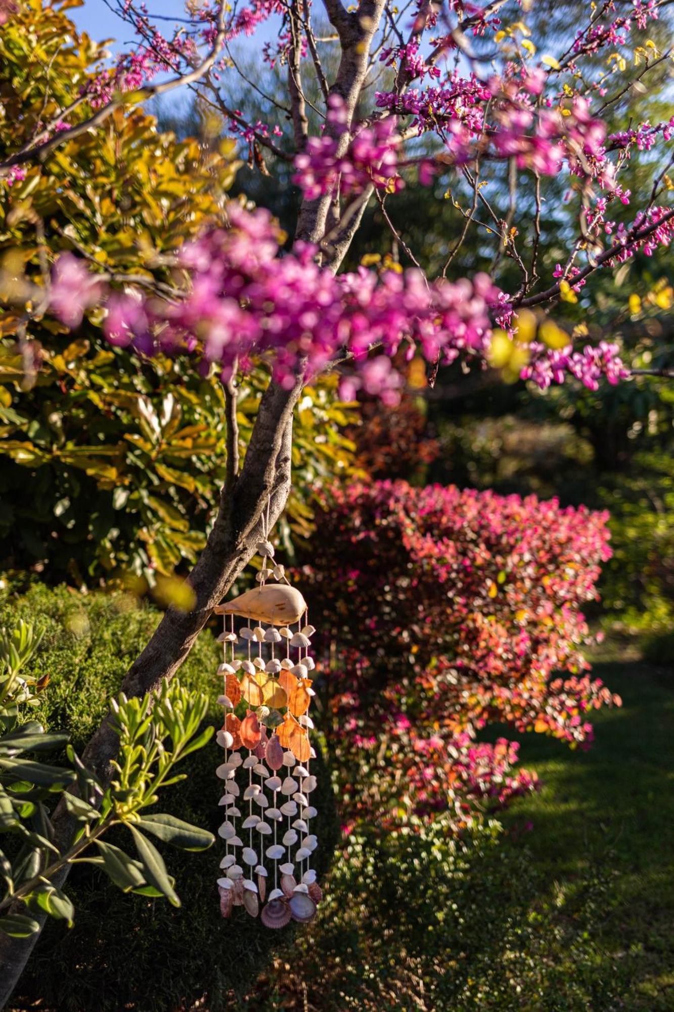 Mas Del Flor Acomodação com café da manhã Villelongue-dels-Monts Exterior foto
